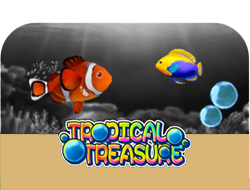 Tropical Treasure